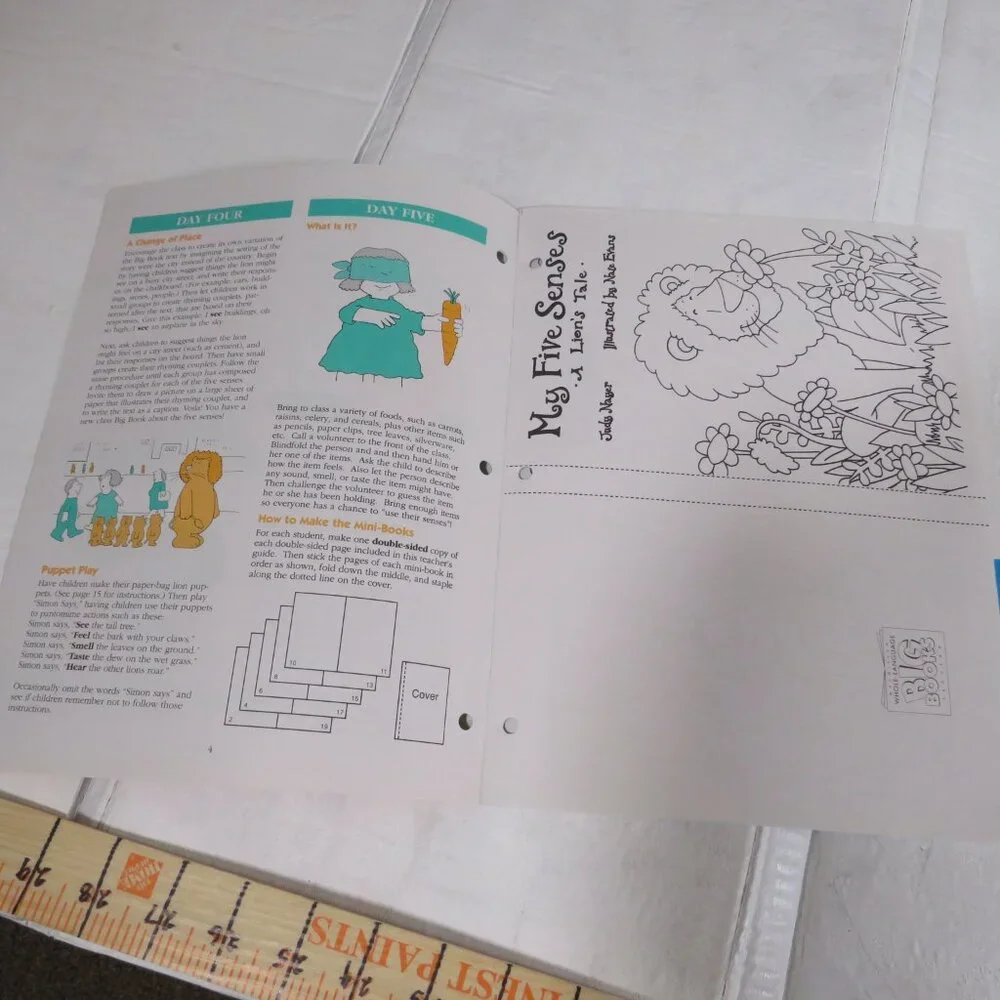 My Five Seasons A Lion’s Tale BIG BOOK (almost 2 feet tall) with teacher pages